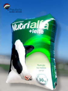 Réplica Inflável Promocional