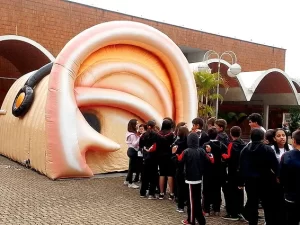 Como funciona a audição? Uma ferramenta lúdica e divertida para aprender